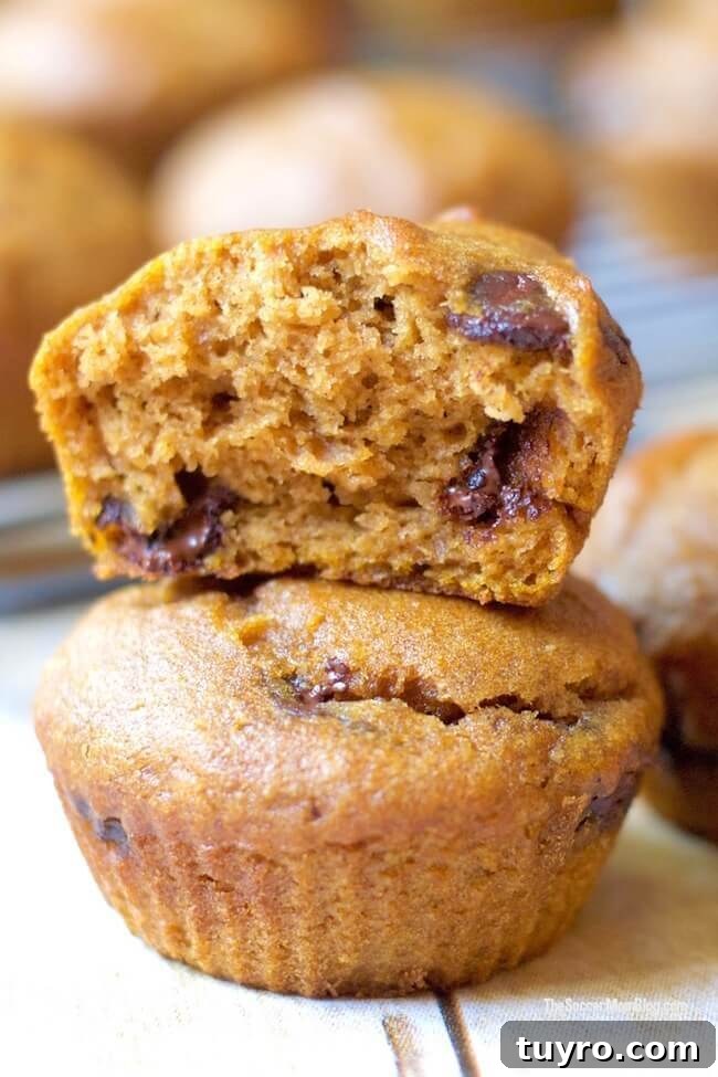 Pumpkin Chocolate Chip Cookies Recipe for Soft, Chewy Treats 9 stacked pumpkin muffins