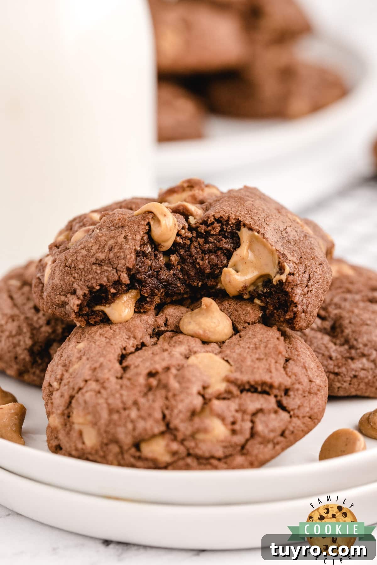 Chocolate Peanut Butter Chip Cookies Recipe 2 Chocolate Peanut Butter Chip Cookies made with chocolate pudding mix for a soft and chewy cookie that is loaded with chocolate flavor and Reese's peanut butter chips.