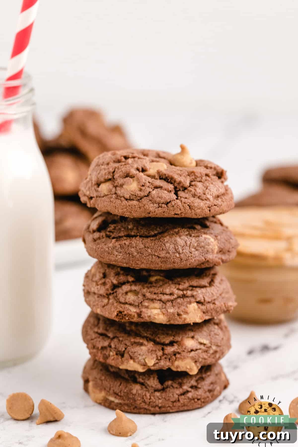 Chocolate Peanut Butter Chip Cookies Recipe 11 Chocolate Peanut Butter Chip Cookies made with chocolate pudding mix for a soft and chewy cookie that is loaded with chocolate flavor and Reese's peanut butter chips.