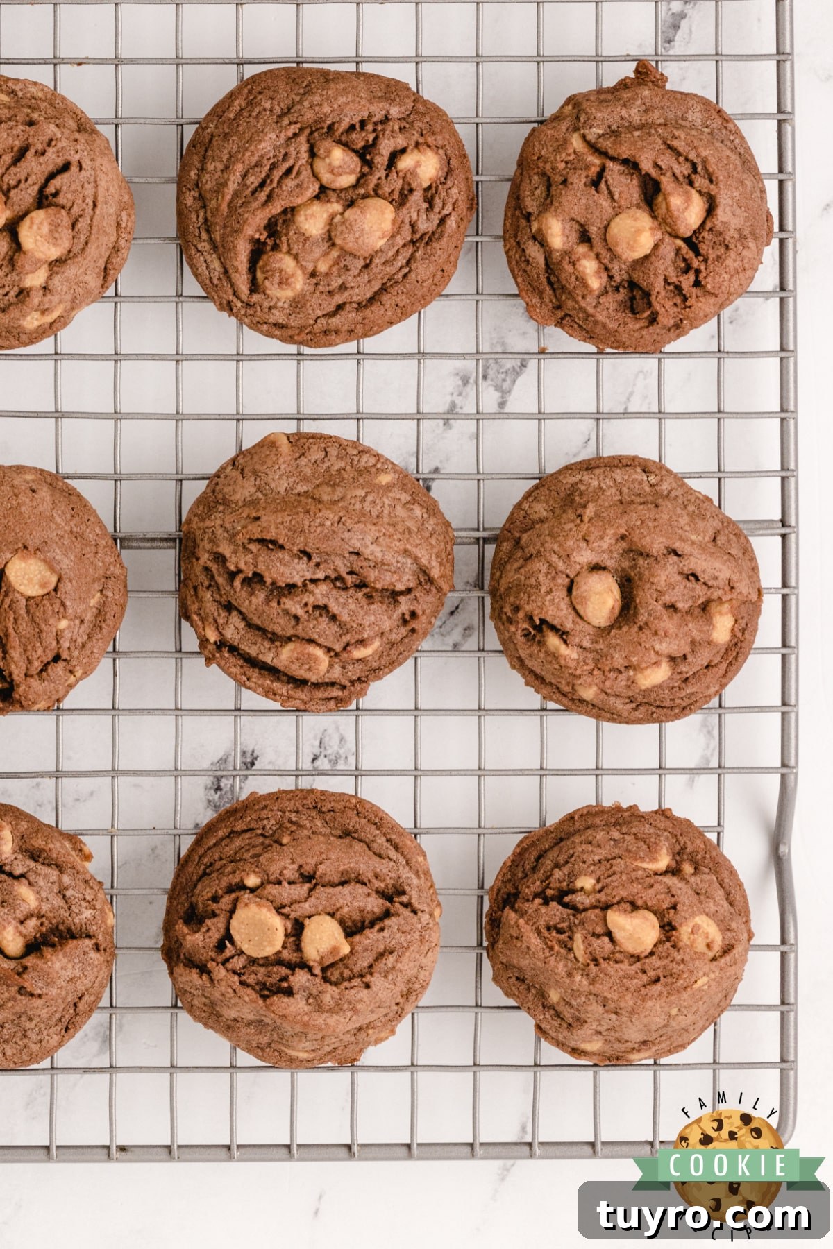 Chocolate Peanut Butter Chip Cookies Recipe 12 Chocolate pudding cookies with peanut butter chips