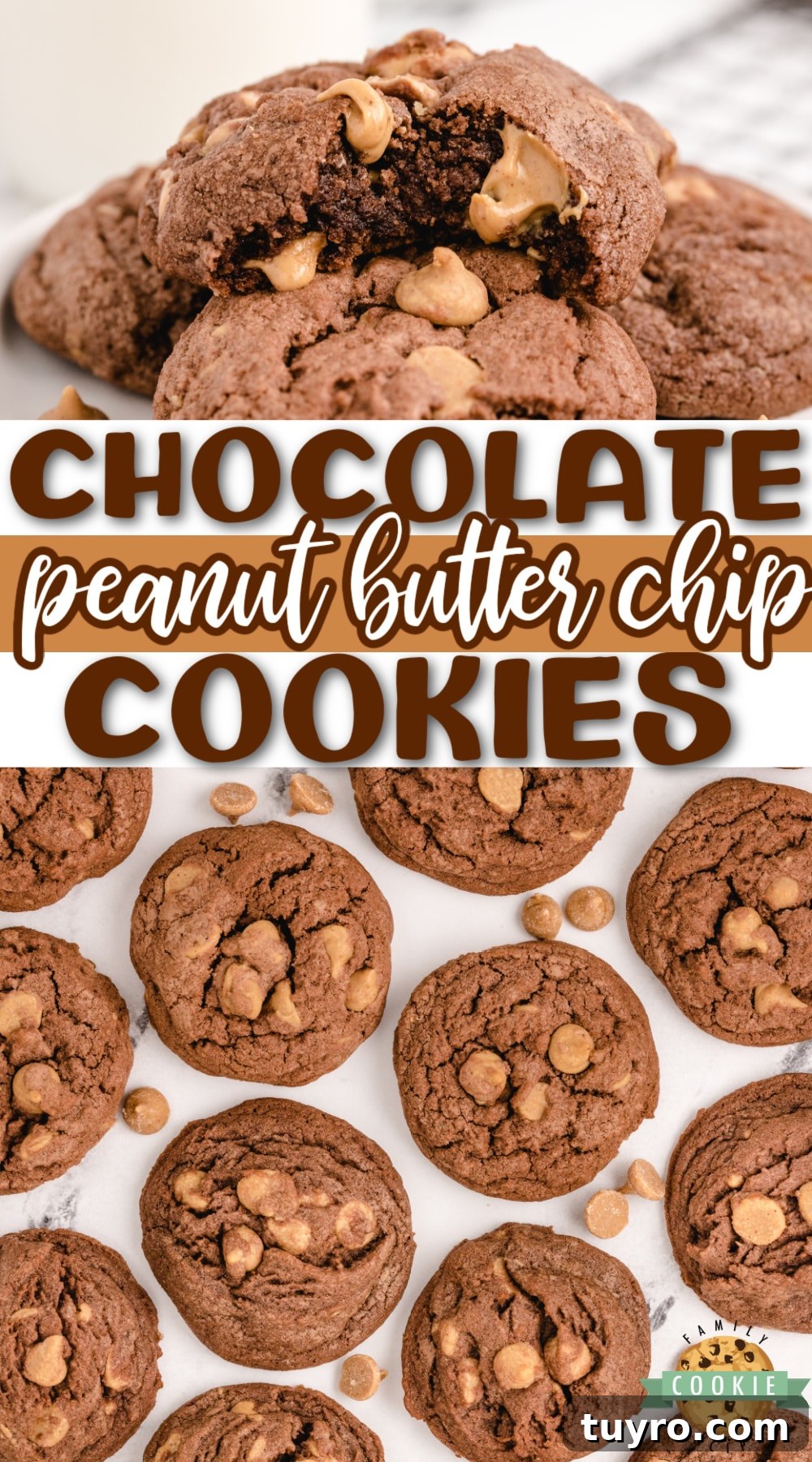 Chocolate Peanut Butter Chip Cookies Recipe 16 Chocolate Peanut Butter Chip Cookies made with chocolate pudding mix for a soft and chewy cookie that is loaded with chocolate flavor and Reese's peanut butter chips.
