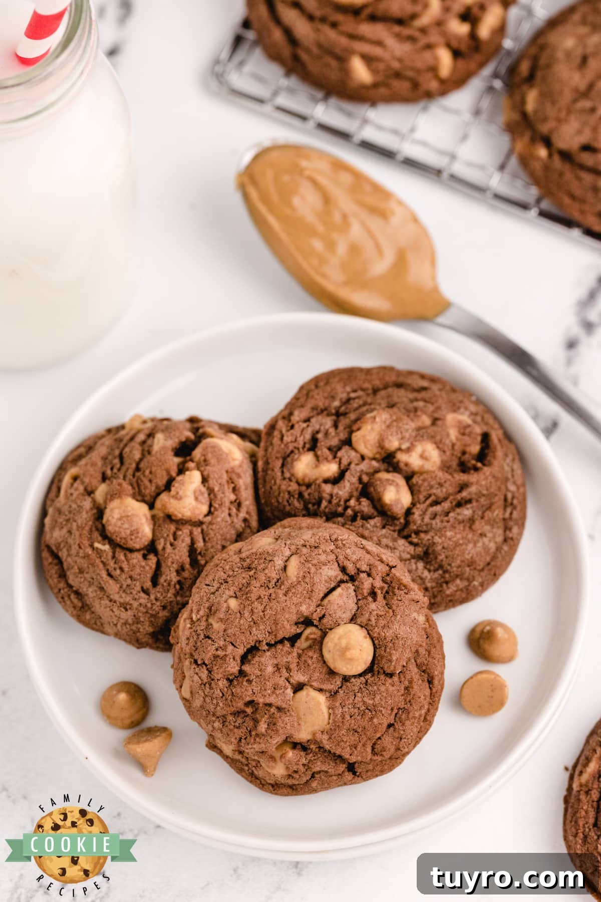 Chocolate Peanut Butter Chip Cookies Recipe 4 Peanut Butter Chip Chocolate Cookies