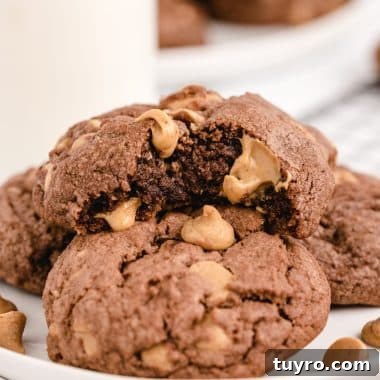 Chocolate Peanut Butter Chip Cookies Recipe 9 Peanut Butter Chip Chocolate Cookies