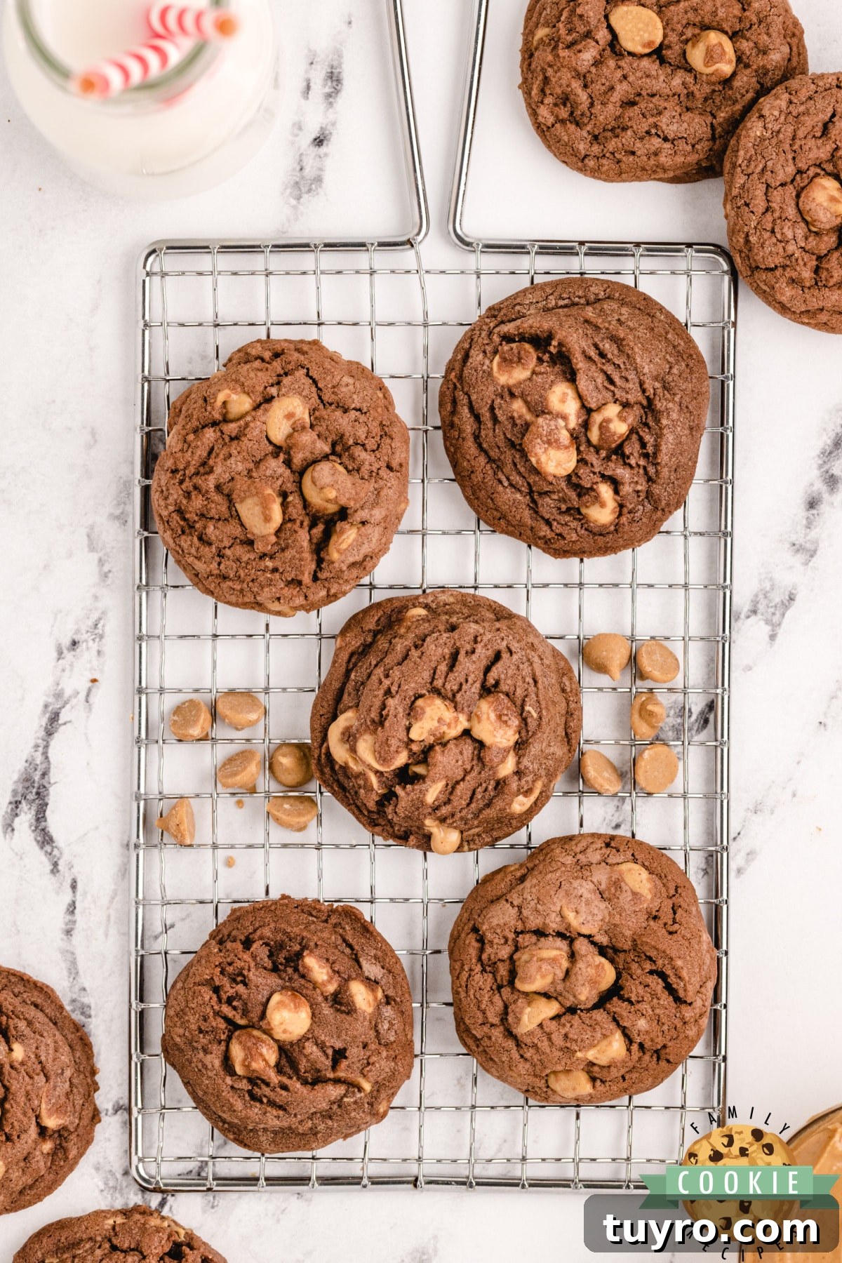 Chocolate Peanut Butter Chip Cookies Recipe 10 Chocolate cookies with Reese's peanut butter chips