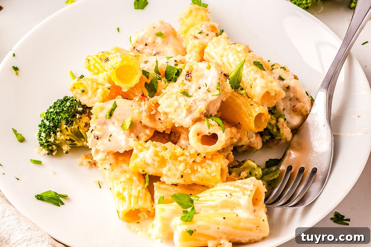 Creamy Alfredo Chicken and Broccoli Casserole Recipe 3 Plate of creamy chicken and broccoli alfredo bake with rigatoni pasta, tender chicken, and broccoli florets.