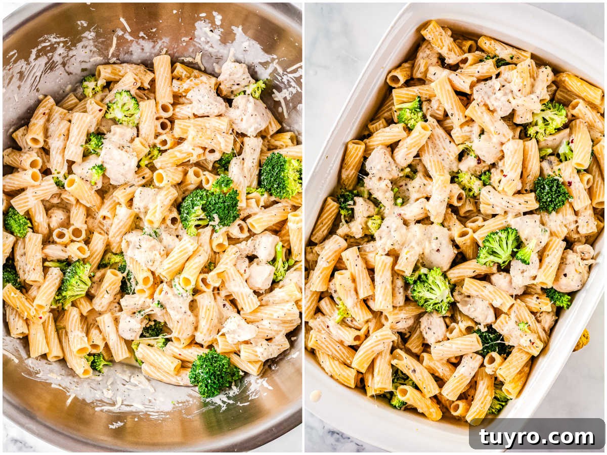 Creamy Alfredo Chicken and Broccoli Casserole Recipe 6 Chicken broccoli pasta mixed with Alfredo sauce in a bowl and transferred into baking dish before baking.