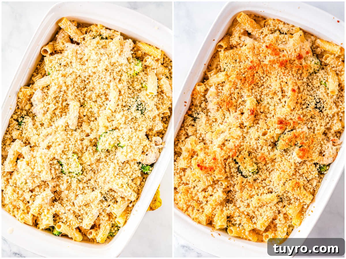 Creamy Alfredo Chicken and Broccoli Casserole Recipe 7 Chicken and broccoli alfredo bake before and after baking showing breadcrumb topping turning golden and crisp.