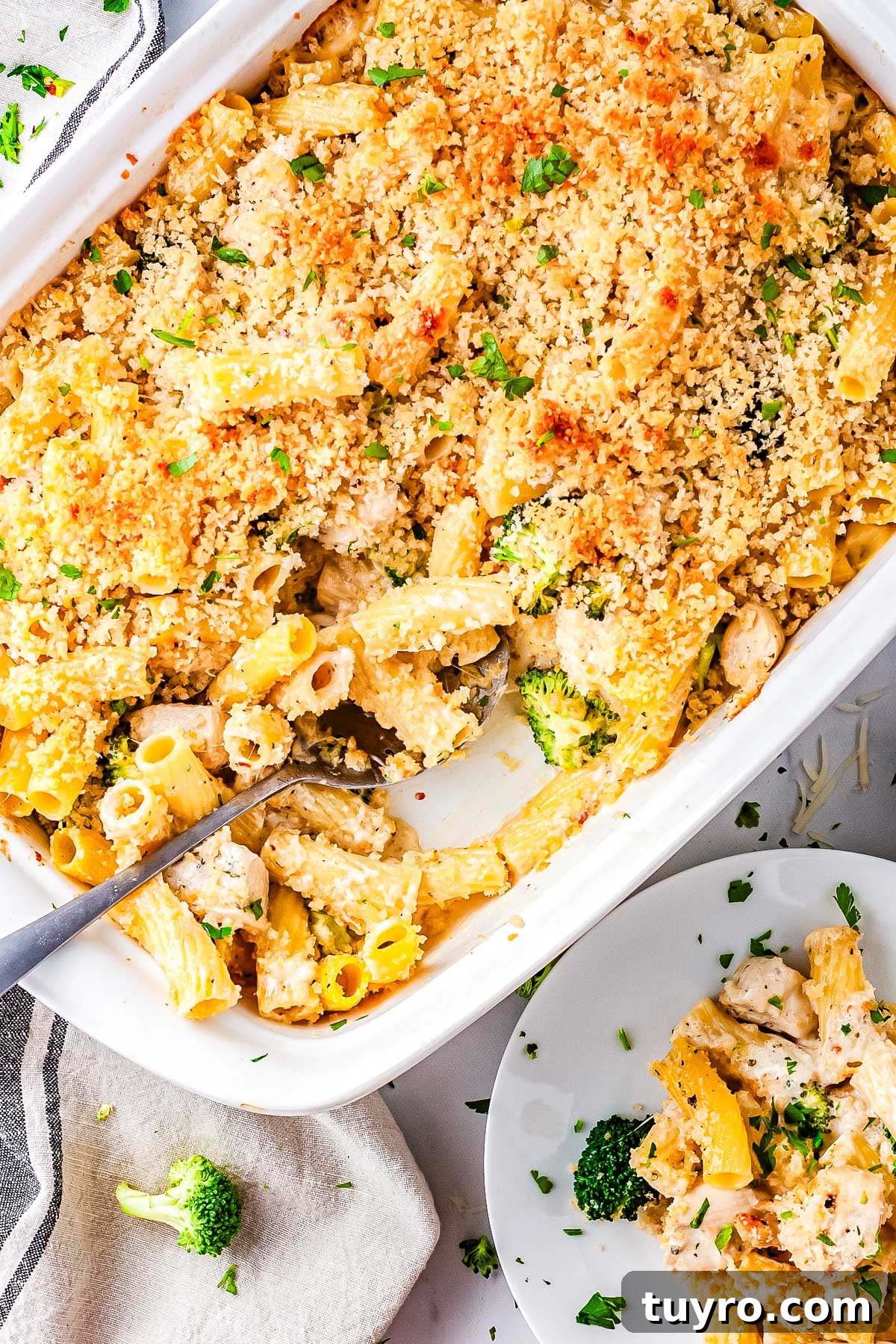 Creamy Alfredo Chicken and Broccoli Casserole Recipe 8 Alfredo chicken broccoli bake in a white baking dish topped with golden panko breadcrumbs and fresh parsley.