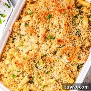 Creamy Alfredo Chicken and Broccoli Casserole Recipe 9 Alfredo chicken broccoli bake in a white baking dish topped with golden panko breadcrumbs and fresh parsley.