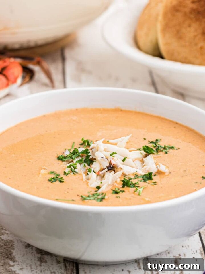 side view up close of a bowl of crab soup with a sprinkling of crab meat on top