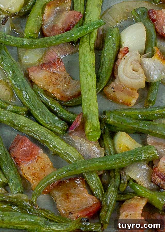 Crisp Roasted Green Beans with Bacon and Caramelized Shallots 2 Fresh Roasted Green Beans with Bacon and Shallots on metal baking sheet