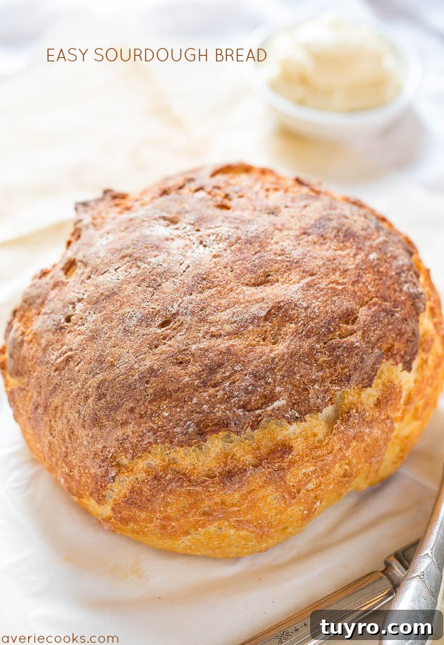 Sourdough Bread Recipe: Step-by-Step Guide for Perfect Loaves 2 How to Make Sourdough Bread — This easy sourdough bread recipe uses yogurt and sour cream in place of a traditional sourdough starter, which makes it possible to prep a loaf in less than a day!