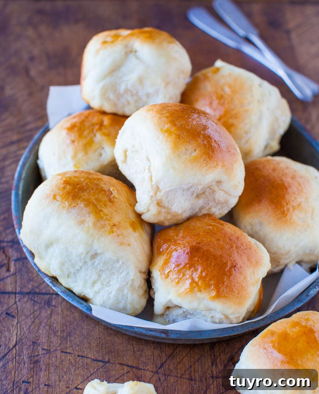 Sourdough Bread Recipe: Step-by-Step Guide for Perfect Loaves 12 Honey Dinner Rolls