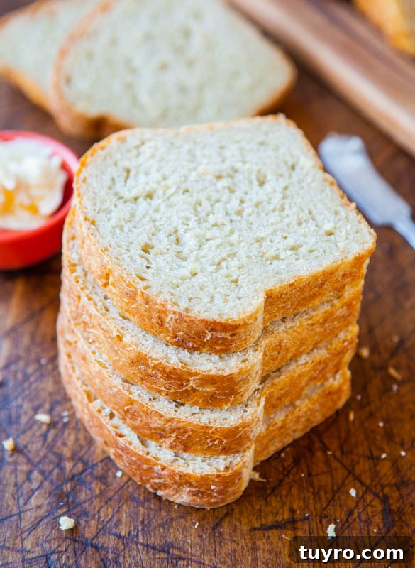 Sourdough Bread Recipe: Step-by-Step Guide for Perfect Loaves 15 Soft and Fluffy Sandwich Bread (vegan)