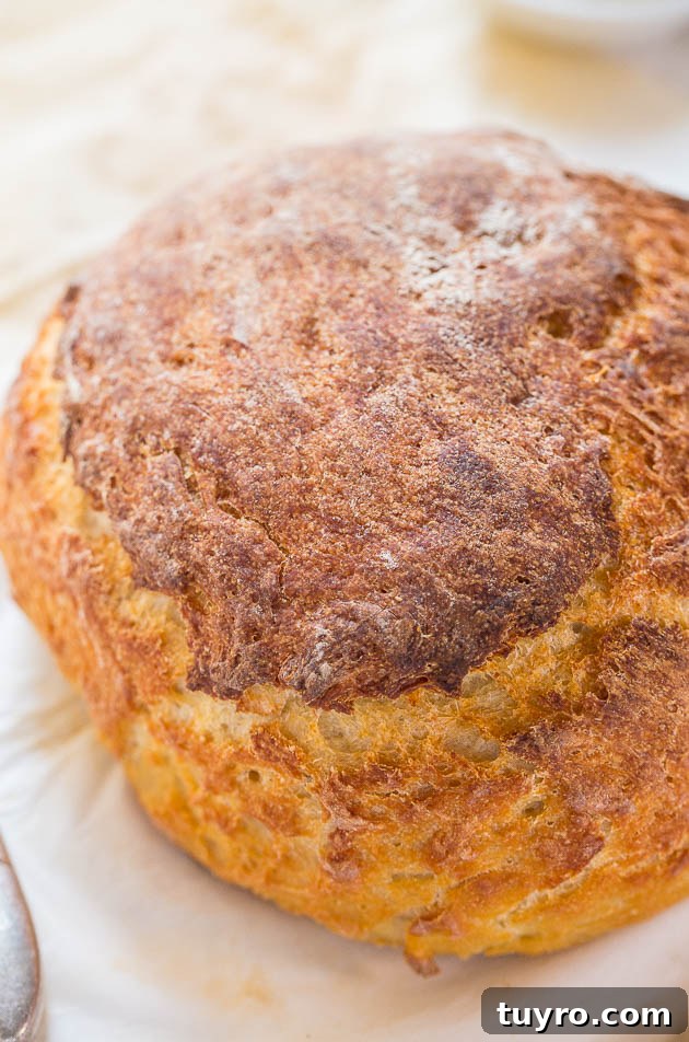 Sourdough Bread Recipe: Step-by-Step Guide for Perfect Loaves 4 How to Make Sourdough Bread — This easy sourdough bread recipe uses yogurt and sour cream in place of a traditional sourdough starter, which makes it possible to prep a loaf in less than a day!