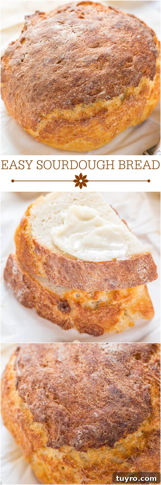 Sourdough Bread Recipe: Step-by-Step Guide for Perfect Loaves 6 Easy Sourdough Bread - No sourdough starter required!! The bread tastes like it's from a fancy bakery and you won't believe how easy it is!!