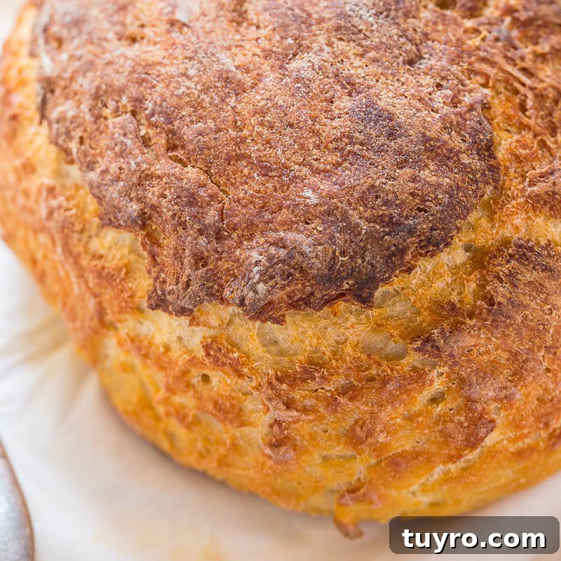 Sourdough Bread Recipe: Step-by-Step Guide for Perfect Loaves 8 Close-up of a freshly baked loaf of bread with a golden-brown crust.