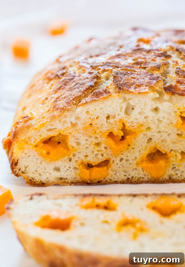 Sourdough Bread Recipe: Step-by-Step Guide for Perfect Loaves 9 Easy Cheddar Sourdough Bread