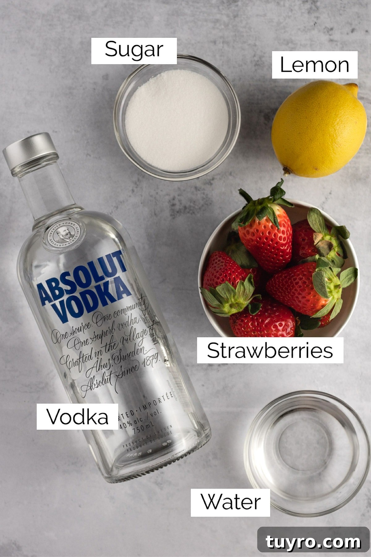 Overhead view of the ingredients needed to make the strawberry martini.