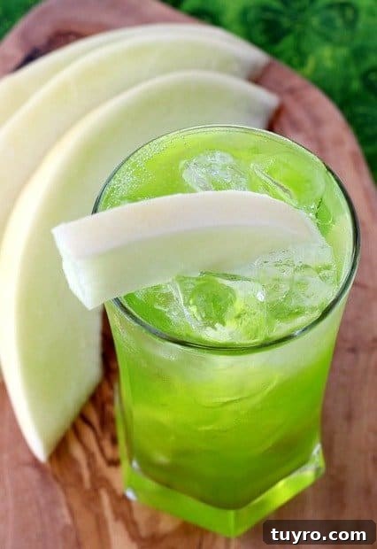 Get the St. Patrick's Day parties started with this Lucky Leprechaun drink! Fruity, fun and boozy, everything you want in a holiday cocktail! Lucky Leprechaun drink