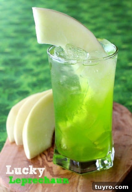 Get the St. Patrick's Day parties started with this Lucky Leprechaun drink! Fruity, fun and boozy, everything you want in a holiday cocktail! lucky-leprechaun-hero2