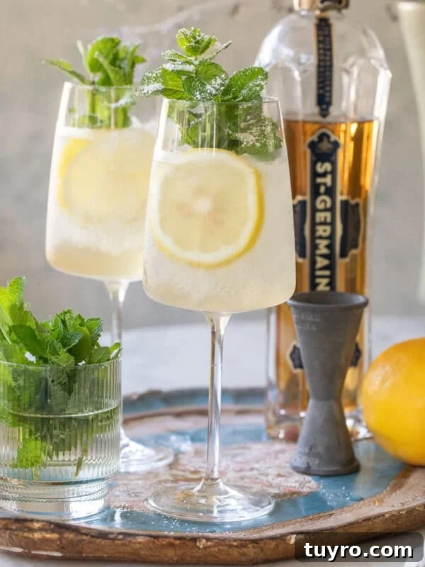 Hugo spritz recipe with lemon slice and fresh mint.