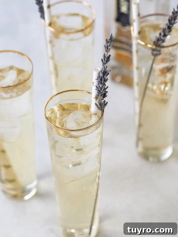 French Spritz Recipe