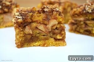 Maple Apple Walnut Slice Recipe: Moist Autumn Cake 2 Close up of the Maple Apple and Walnut Slice. An almost apple cake like base that is light, fluffy and buttery with a rich and sweet walnut and oat crumble and a liberal amount of maple syrup poured over top to marry all the elements together.