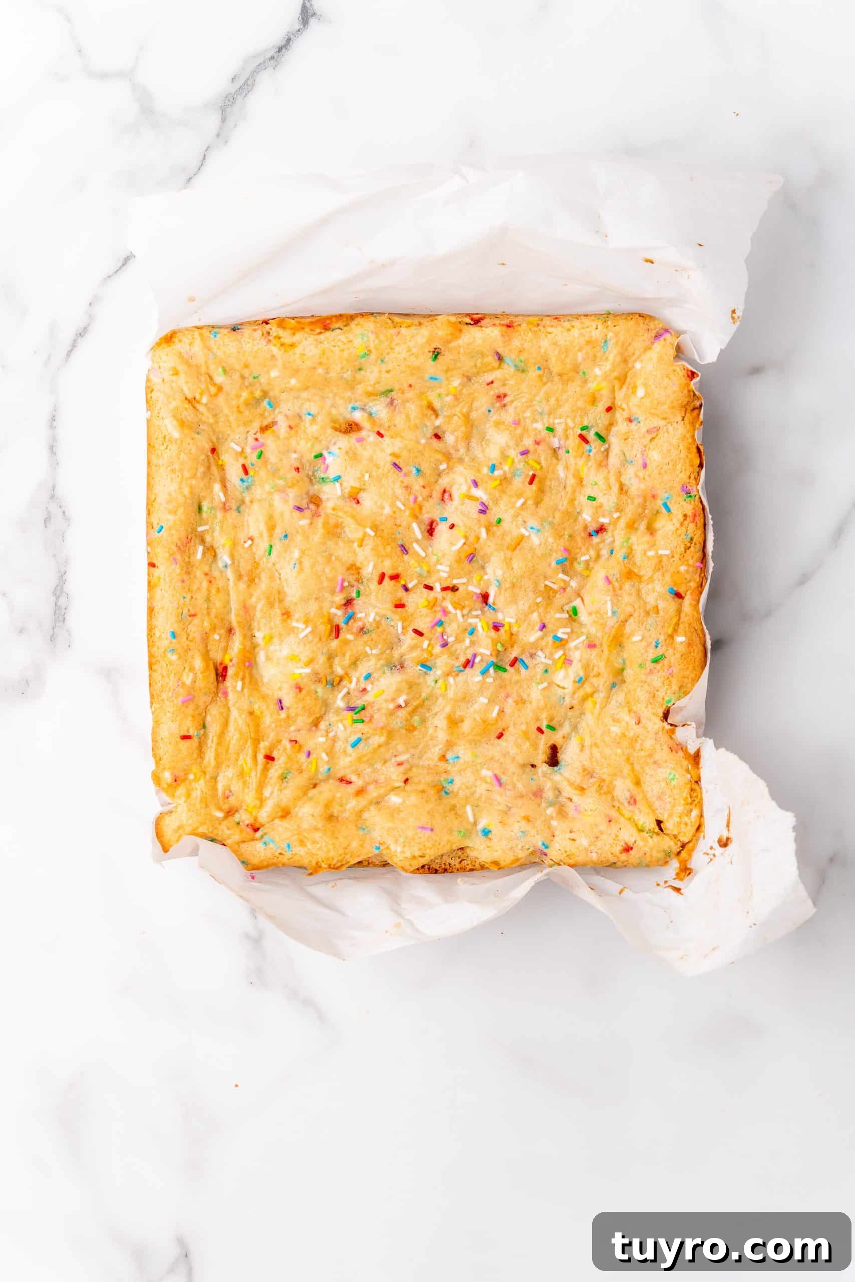 Birthday Cake Blondies Recipe with Sprinkles and Frosting 10 baked birthday cake blondies on crumpled parchment paper
