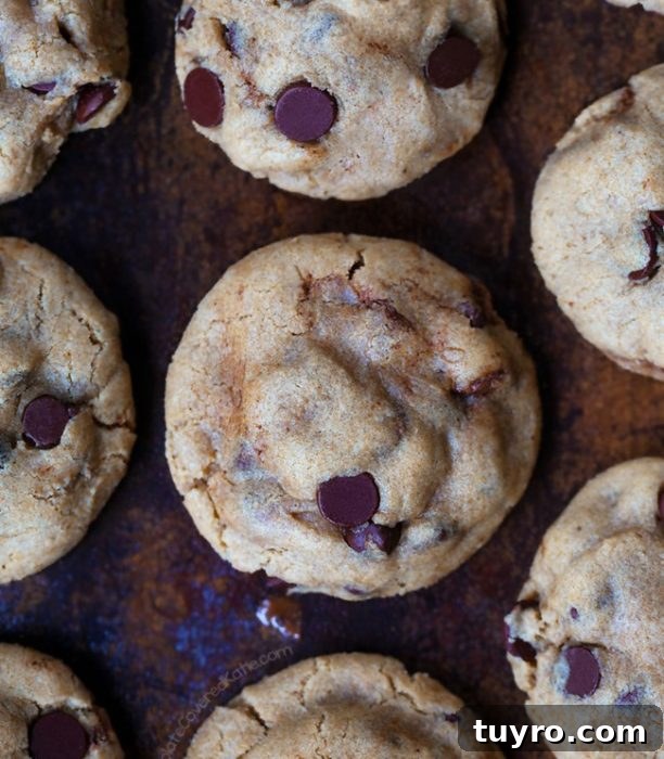 Vegan Chocolate Chip Cookies