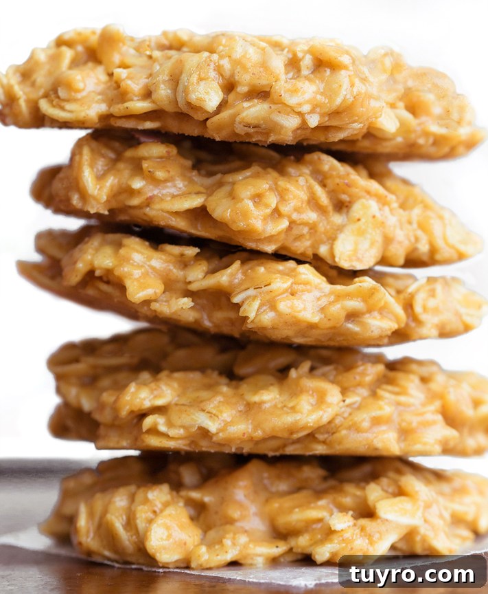 Peanut Butter No Bake Cookie Recipe