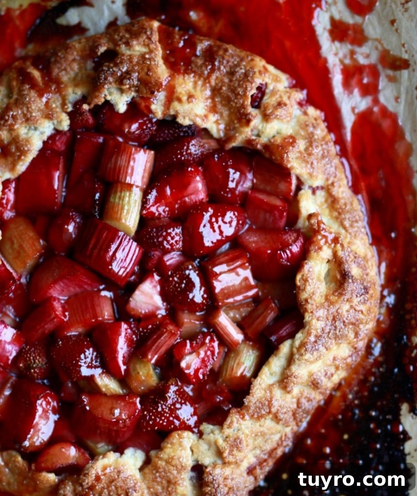 Strawberry Rhubarb Rose Galette with Cream Cheese Crust 5 strawberry rhubarb rose galette