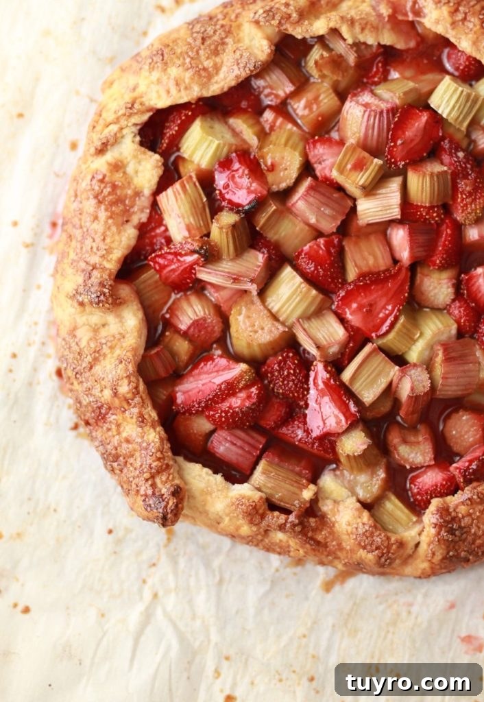 Strawberry Rhubarb Rose Galette with Cream Cheese Crust 6 strawberry rhubarb rose galette