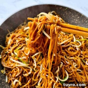 Crispy Soy Sauce Pan-Fried Noodles Recipe 11 Hot noodles being picked up by a pair of chopsticks