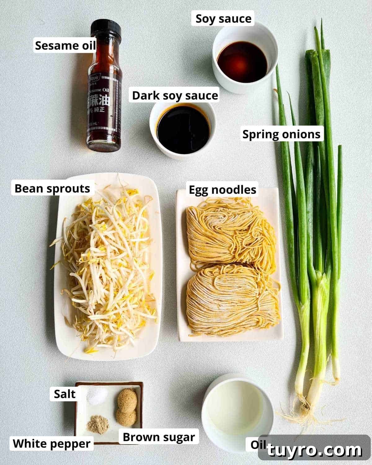 Crispy Soy Sauce Pan-Fried Noodles Recipe 3 Ingredients required to make this recipe, labeled
