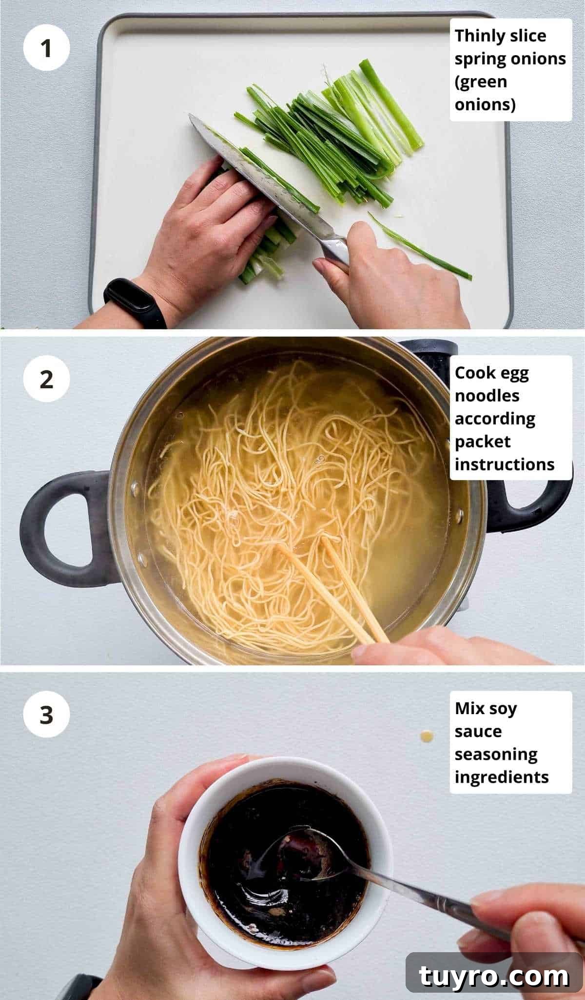 Crispy Soy Sauce Pan-Fried Noodles Recipe 5 3 step cooking instructions collage around preparation