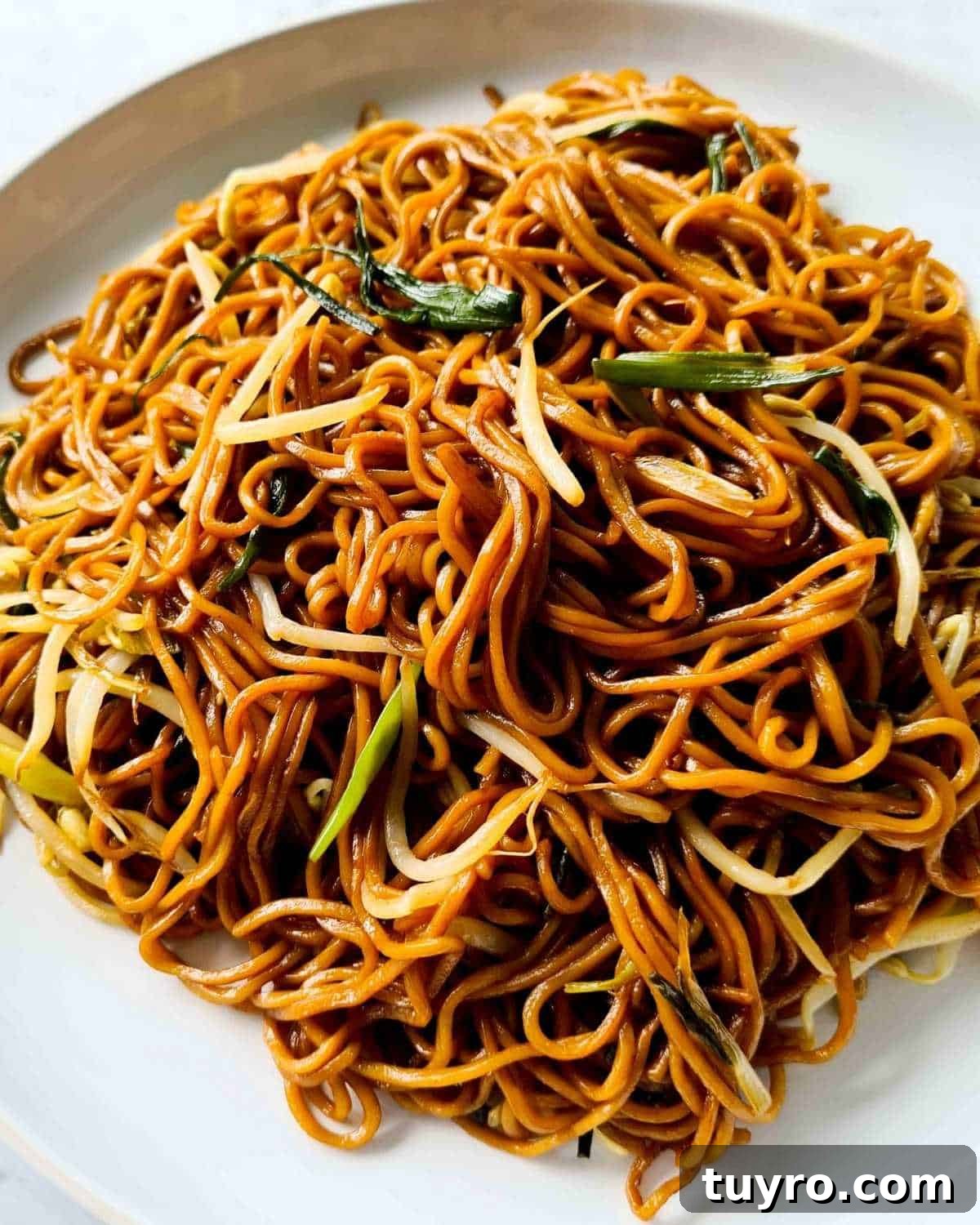 Crispy Soy Sauce Pan-Fried Noodles Recipe 9 Close up of a large plate of cooked egg noodles