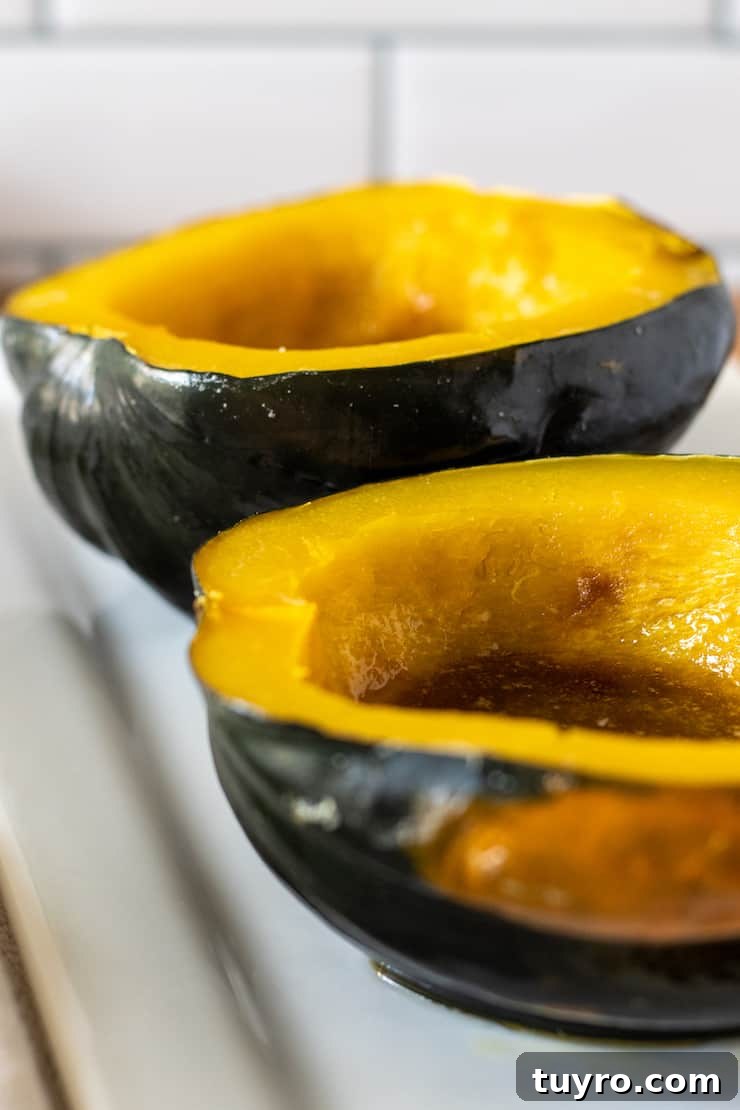 Close up of baked acorn squash.