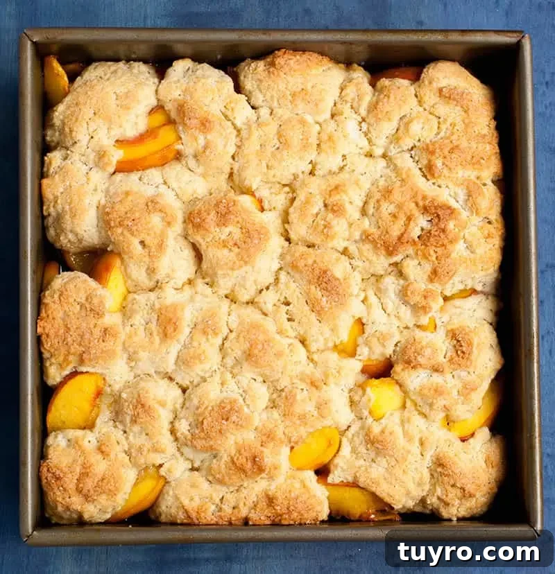 Classic Georgia Peach Cobbler Recipe from Scratch 4 Georgia Peach Cobbler. Fresh peaches, lightly spiced and sweetened with two kinds of sugar, are baked under a delicious sweet biscuit topping!