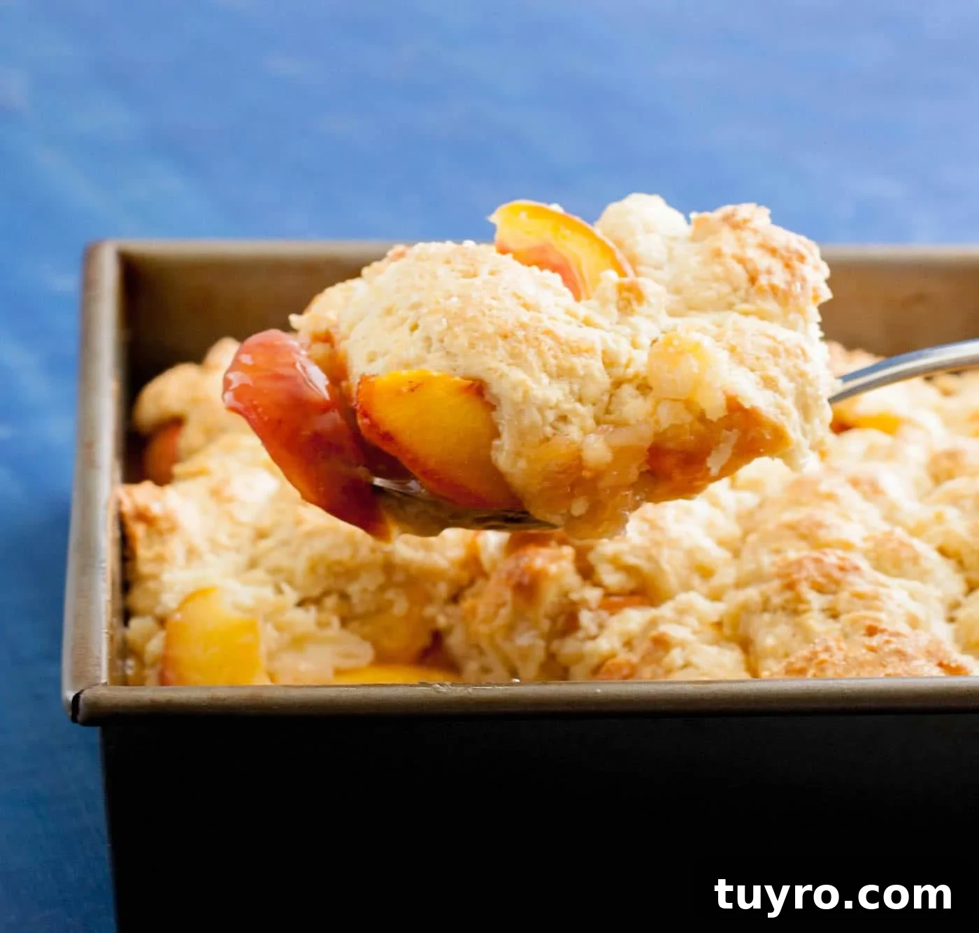 Classic Georgia Peach Cobbler Recipe from Scratch 5 Georgia Peach Cobbler. Fresh peaches, lightly spiced and sweetened with two kinds of sugar, are baked under a delicious sweet biscuit topping!