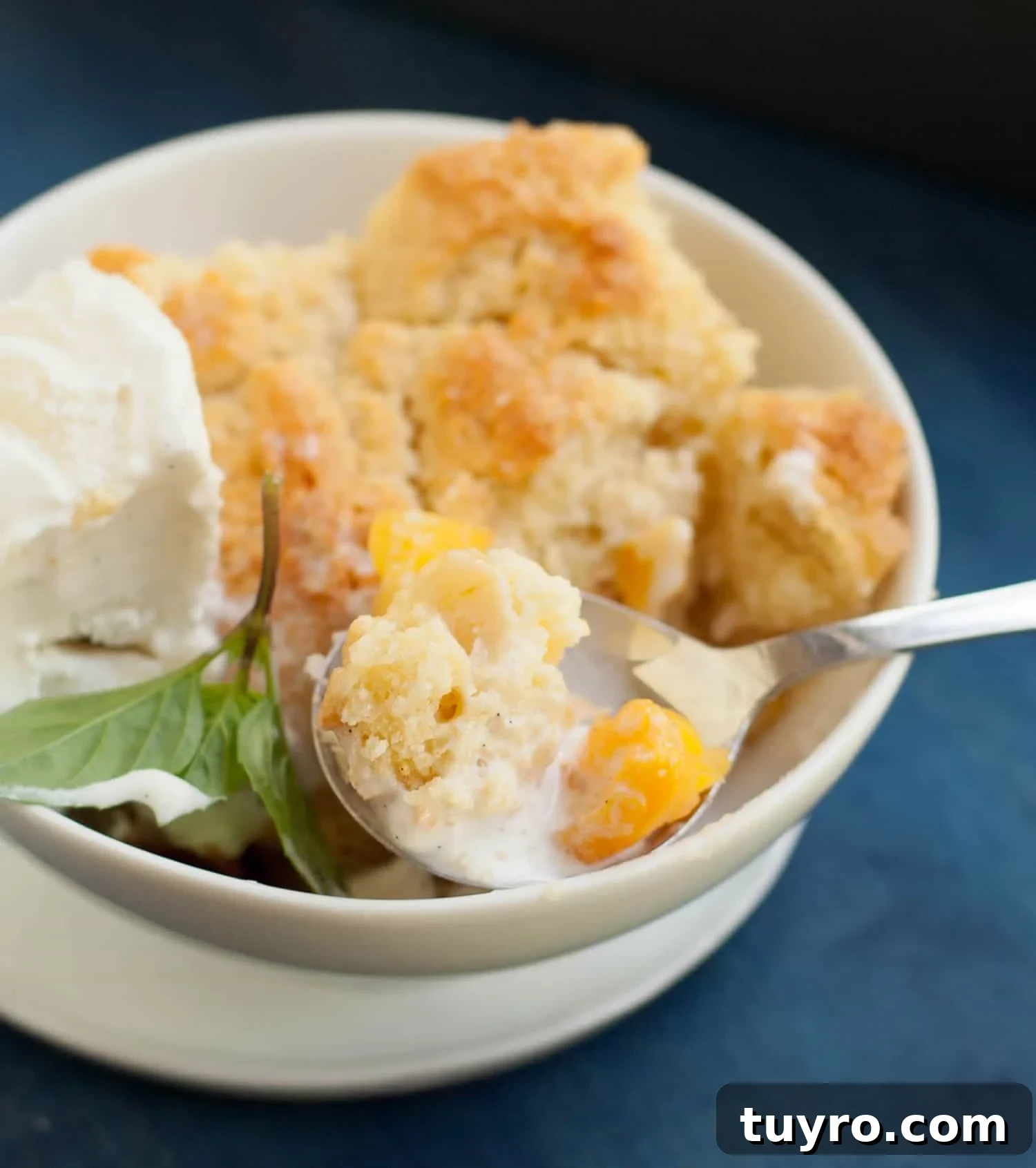 Classic Georgia Peach Cobbler Recipe from Scratch 8 Georgia Peach Cobbler. Fresh peaches, lightly spiced and sweetened with two kinds of sugar, are baked under a delicious sweet biscuit topping!