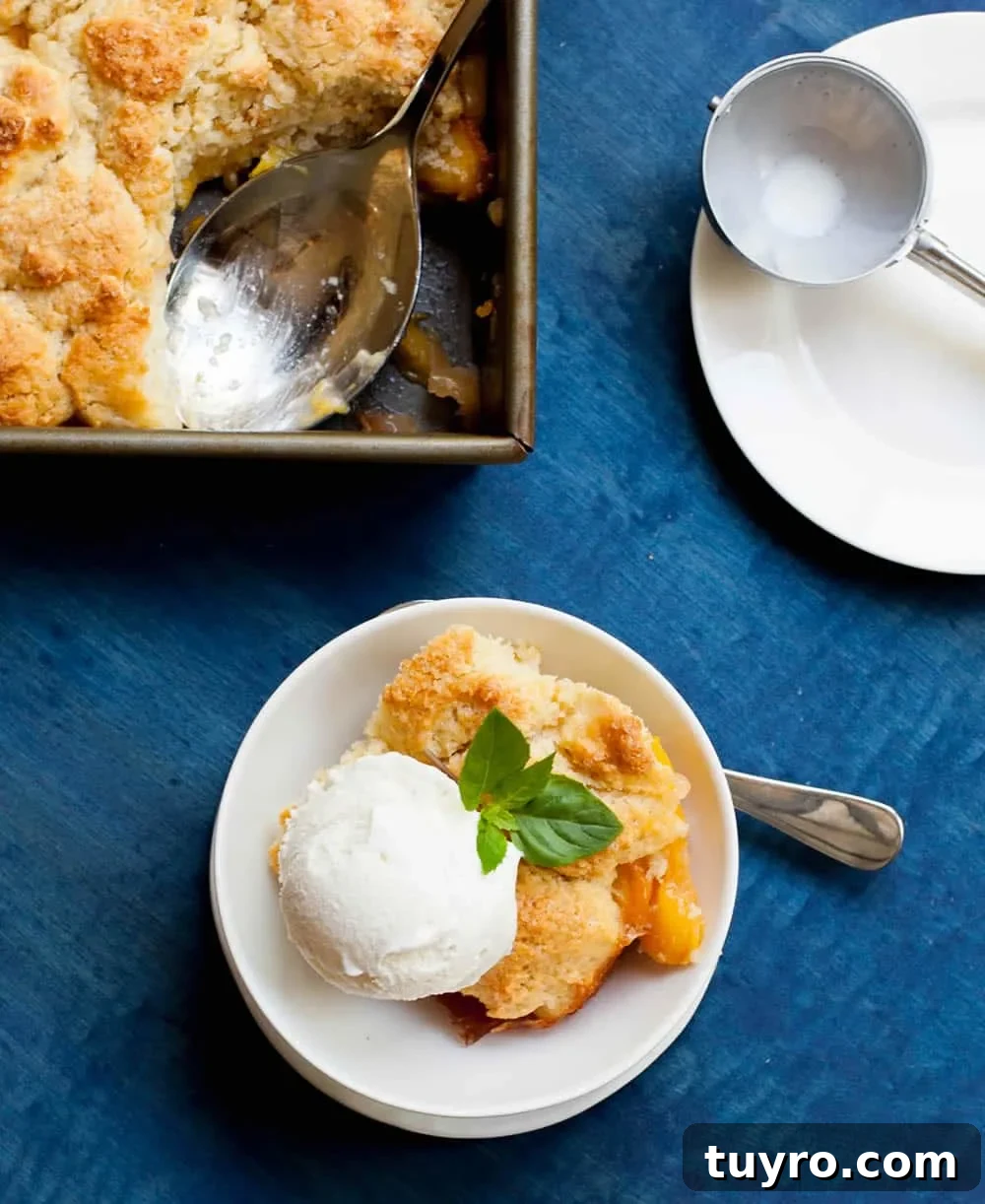 Classic Georgia Peach Cobbler Recipe from Scratch 3 Georgia Peach Cobbler. Fresh peaches, lightly spiced and sweetened with two kinds of sugar, are baked under a delicious sweet biscuit topping!