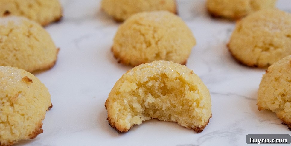 Keto Low‑Carb Sugar Cookie Macaroons – Soft Almond Macaroon Recipe 3 keto macaroon on a white marble countertop with small piece eaten out of middle macaroon