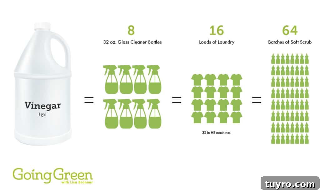 Graphic of what cleaning solutions can be made from 1 gallon of vinegar.