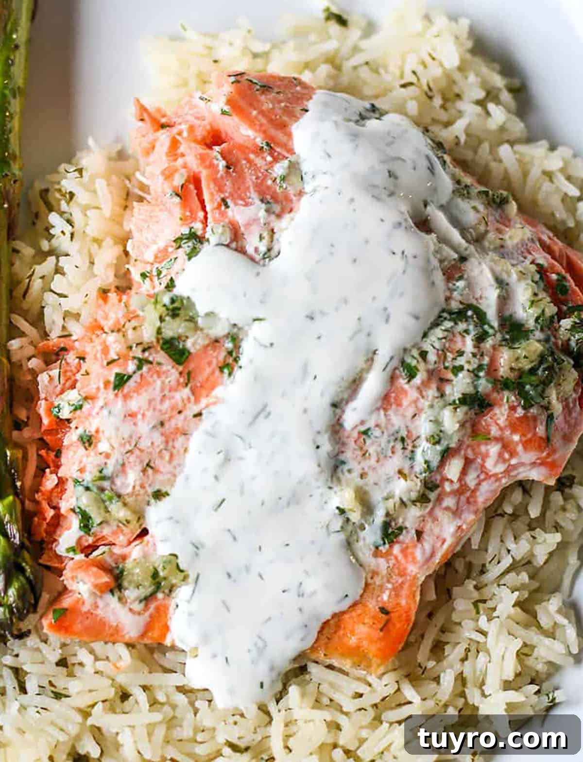 Creamy Lemon Dill Sauce Recipe for Fish and Salmon 2 Baked salmon filet onto of rice with a creamy white sauce.