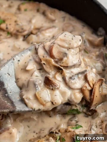 A wooden spoon taking out a scoop of a mushroom sauce.
