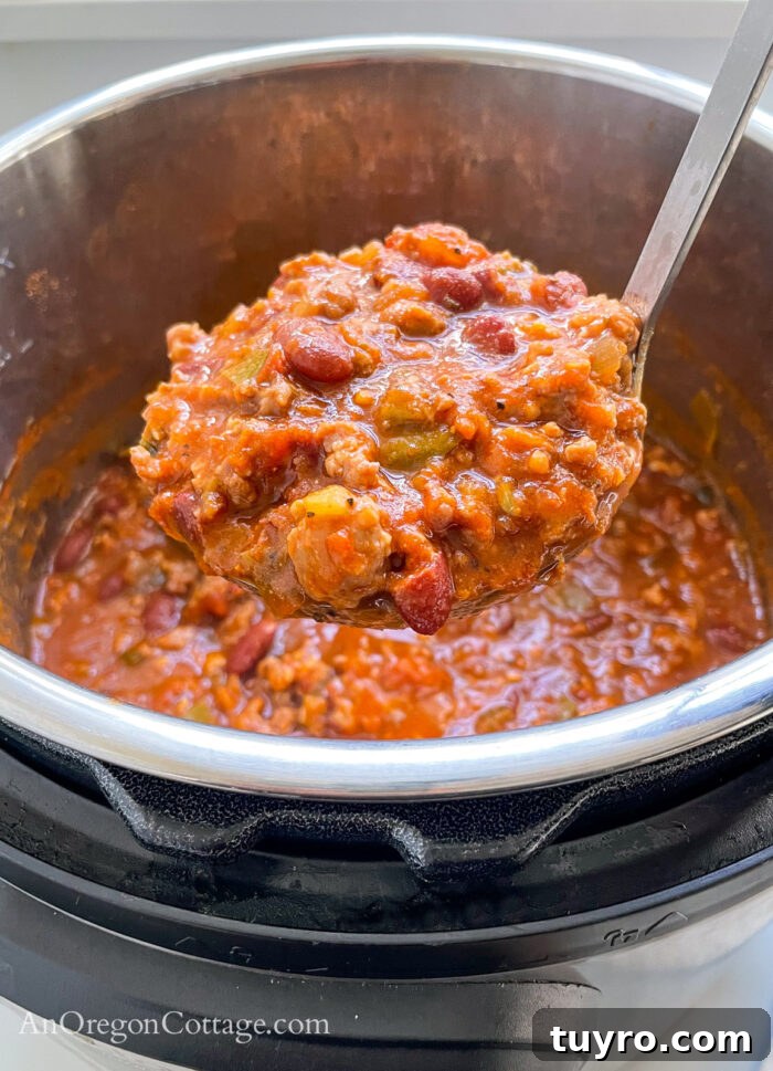 How to Make Chili: Stovetop, Crockpot, and Instant Pot 6 cooked chili on ladle with Instant Pot