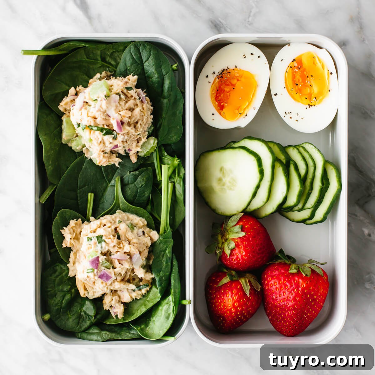 Tuna salad bento box for healthy meal prep Tuna salad bento box for a budget meal prep