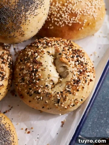 A Sourdough Discard Bagel with everything bagel seasoning.