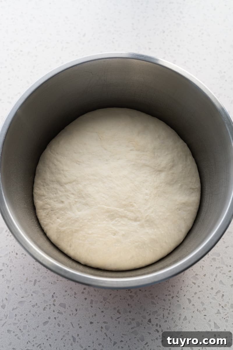 Sourdough discard pizza dough after rising in a large bowl.